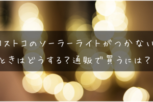 コストコのジップロックは可愛い ディズニー柄やおすすめの使い方紹介 Simplify